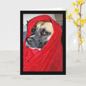 Carte Portrait de chien dans une couverture rouge (Fleur jaune)