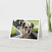 Carte Portrait de chien doux (Devant)