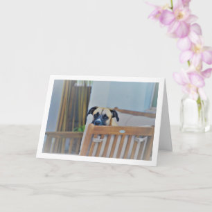 Carte Portrait de chien nuageux