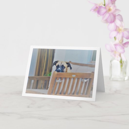 Carte Portrait de chien nuageux (Orchidée)