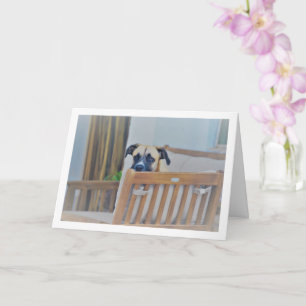 Carte Portrait de chien nuageux