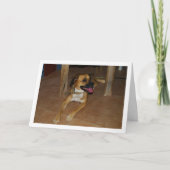 Carte Portrait de chien sur le sol (Devant)