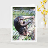Carte Portrait de chimpanzé (Fleur jaune)