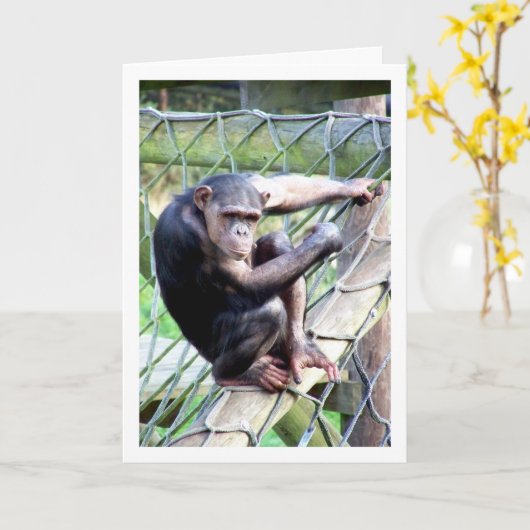 Carte Portrait de chimpanzé (Fleur jaune)