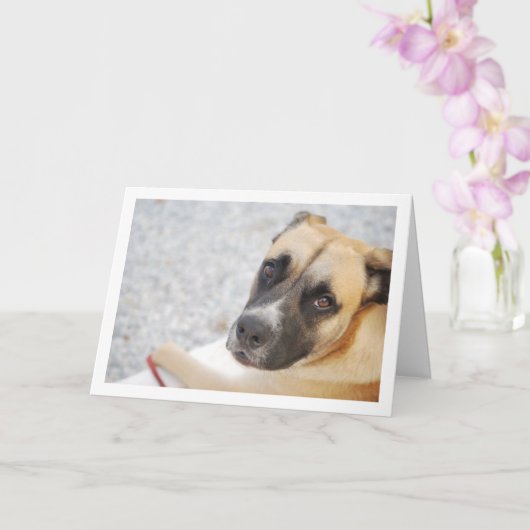 Carte Portrait de chiot adorable (Orchidée)