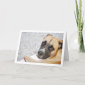 Carte Portrait de chiot adorable (Devant)