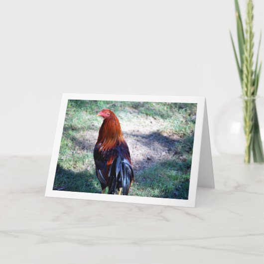 Carte Portrait de Coq (Devant)