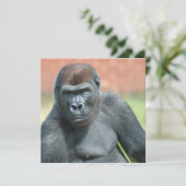 Carte Portrait de corde de Gorilla Blackback (Debout devant)