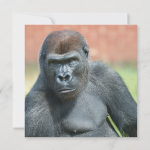 Carte Portrait de corde de Gorilla Blackback