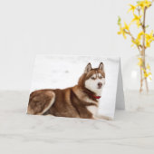 Carte Portrait de Cute Siberian Husky (Fleur jaune)