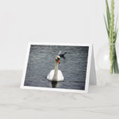 Carte Portrait de cygne (Devant)