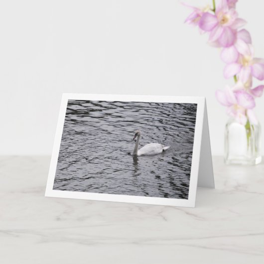 Carte Portrait de cygne sur un lac (Orchidée)