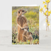 Carte Portrait de famille de suricates (Fleur jaune)