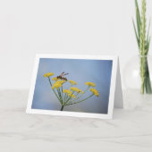 Carte Portrait de fenouil sauvage pollinisant la laine (Devant)