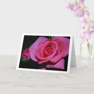 Carte Portrait de fleur de rose rose