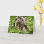 Carte Portrait de fond dans un journal de blocage (Fleur jaune)