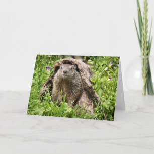 Carte Portrait de fond dans un journal de blocage