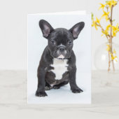 Carte Portrait de French Bulldog (Fleur jaune)