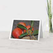 Carte Portrait de fruits persimon (Devant)