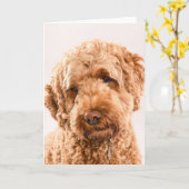 Carte Portrait de Goldendoodle Studio (Fleur jaune)