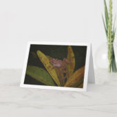 Carte Portrait de grenouille dans un étang (Devant)