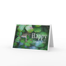 Portrait de grenouille dans un étang feuillu