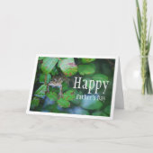 Carte Portrait de grenouille dans un étang feuillu (Devant)