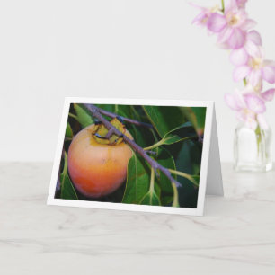 Carte Portrait de kaki sur l'arbre