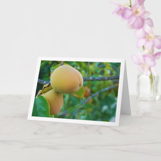 Carte Portrait de kakis sur l'arbre (Orchidée)