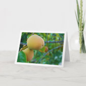 Carte Portrait de kakis sur l'arbre (Devant)