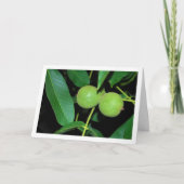 Carte Portrait de l'arbre à noix (Devant)