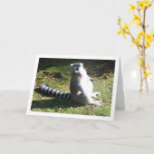 Carte Portrait de lémurien à queue annelée (Fleur jaune)