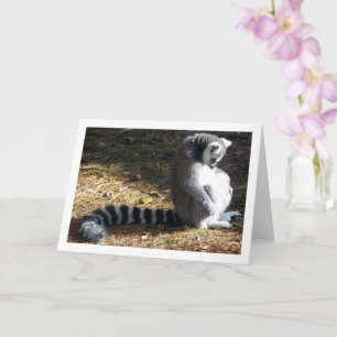 Carte Portrait de lémurien à queue ronde