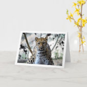 Carte Portrait de léopard (Fleur jaune)