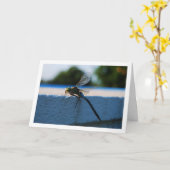 Carte Portrait de libellule (Fleur jaune)