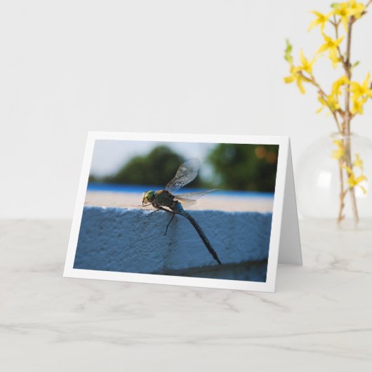 Carte Portrait de libellule (Fleur jaune)