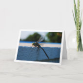 Carte Portrait de libellule (Devant)