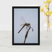 Carte Portrait de libellule avec canne (Fleur jaune)