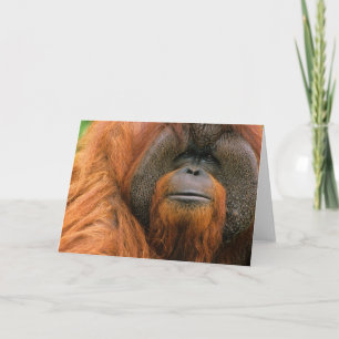 Carte Portrait de mâle orang-outan, Géorgie, États-Unis