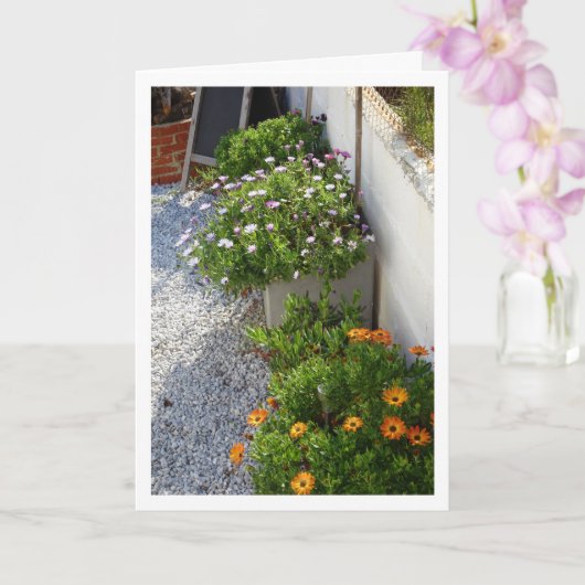 Carte Portrait de marais africains (Orchidée)