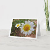 Carte Portrait de marais communs (Devant)