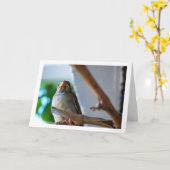 Carte Portrait de moineau (Fleur jaune)