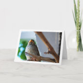 Carte Portrait de moineau (Devant)