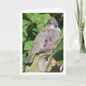 Carte Portrait de moineau (Devant)