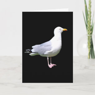 Carte Portrait de mouette saisissant Fond sombre Minimal