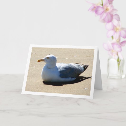 Carte Portrait de Mouette sur la Plage (Orchidée)