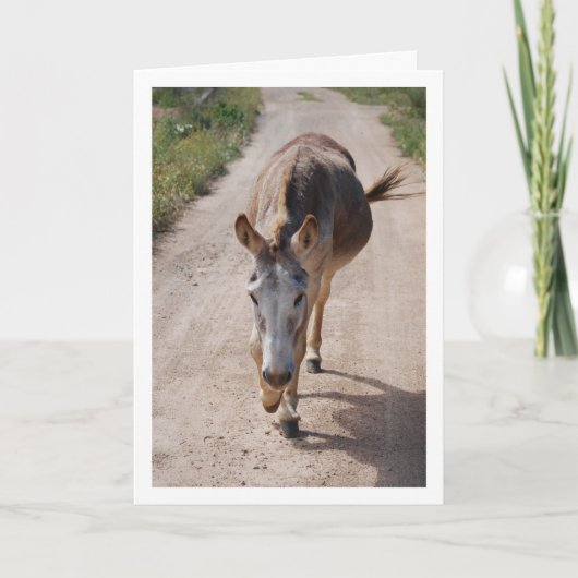 Carte Portrait de Mulet Espagnol (Devant)