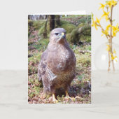 Carte Portrait de nature de Buse commune rapace frappant (Fleur jaune)