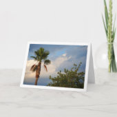 Carte Portrait de palmier sous ciel bleu (Devant)