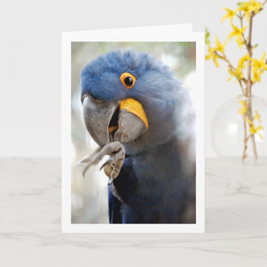 Carte Portrait de perroquet bleu (Fleur jaune)